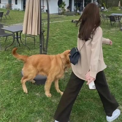 格罗斯波因特园艺社群