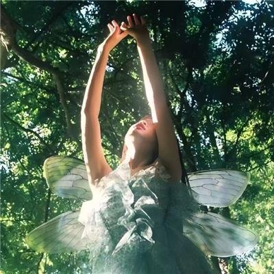巨幅宝丽莱大师